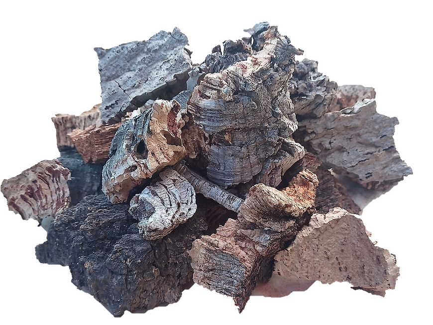 1.6kg - Pieces of Cork from Portugal, for Plants and Terrariums 2