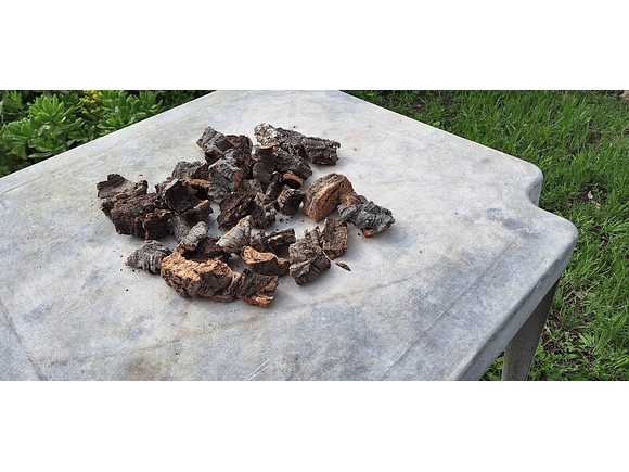 1.6kg - Pieces of Cork from Portugal, for Plants and Terrariums 1