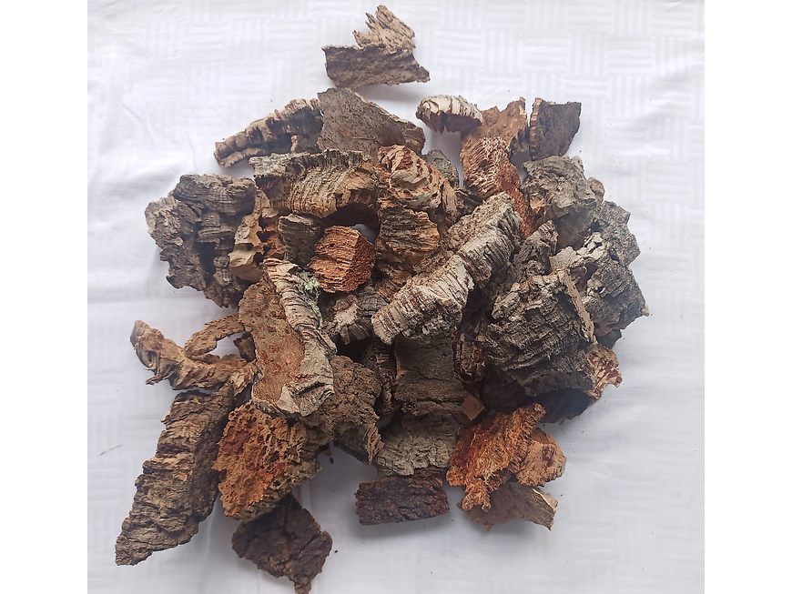 1.6kg - Pieces of Cork from Portugal, for Plants and Terrariums 3