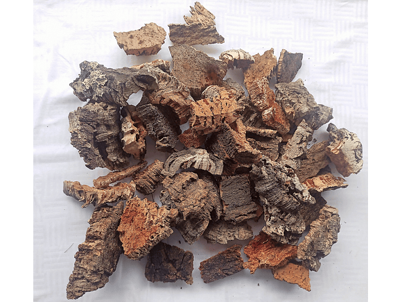 1.6kg - Pieces of Cork from Portugal, for Plants and Terrariums 4