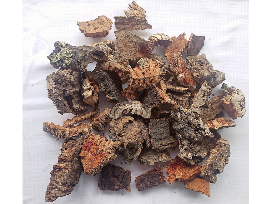 1.6kg - Pieces of Cork from Portugal, for Plants and Terrariums 4