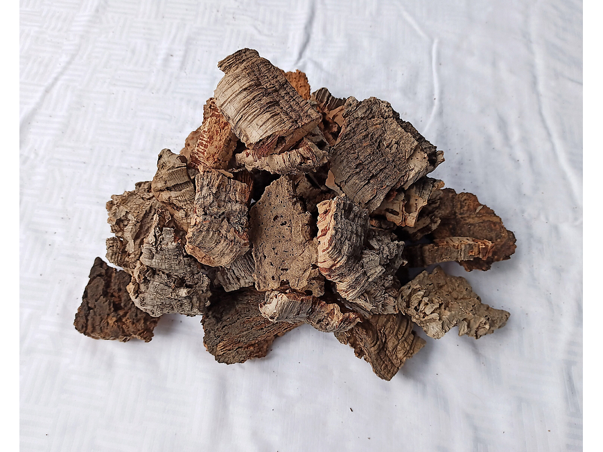 1.6kg - Pieces of Cork from Portugal, for Plants and Terrariums 5