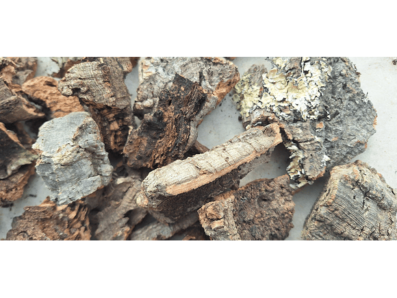1.6kg - Pieces of Cork from Portugal, for Plants and Terrariums 6