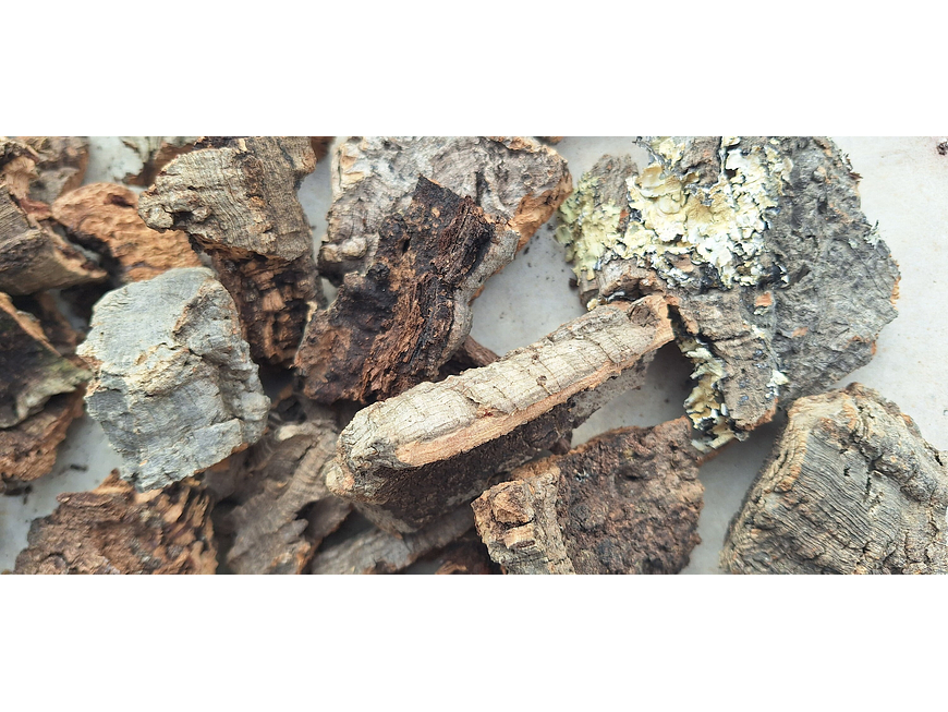 1.6kg - Pieces of Cork from Portugal, for Plants and Terrariums 6