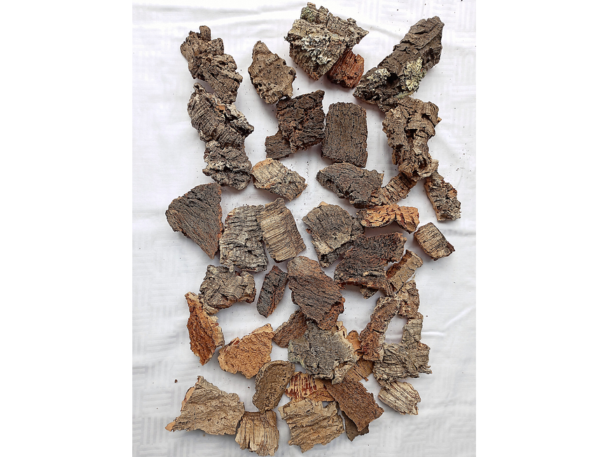 1.6kg - Pieces of Cork from Portugal, for Plants and Terrariums 7