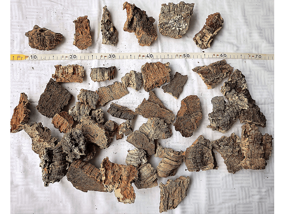 1.6kg - Pieces of Cork from Portugal, for Plants and Terrariums 8