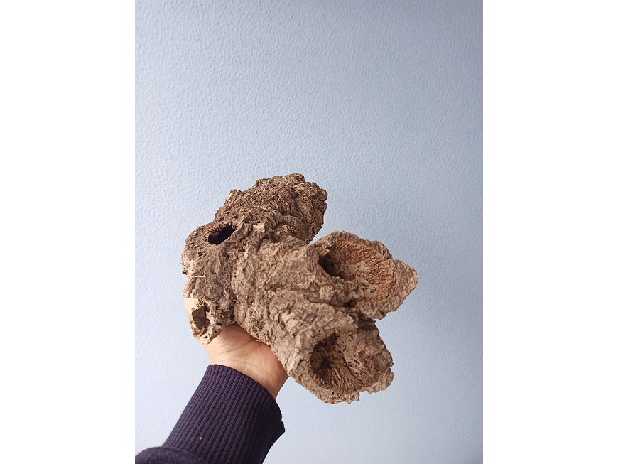 3x Cork Tubes - for vivarium, terrarium or decoration 3