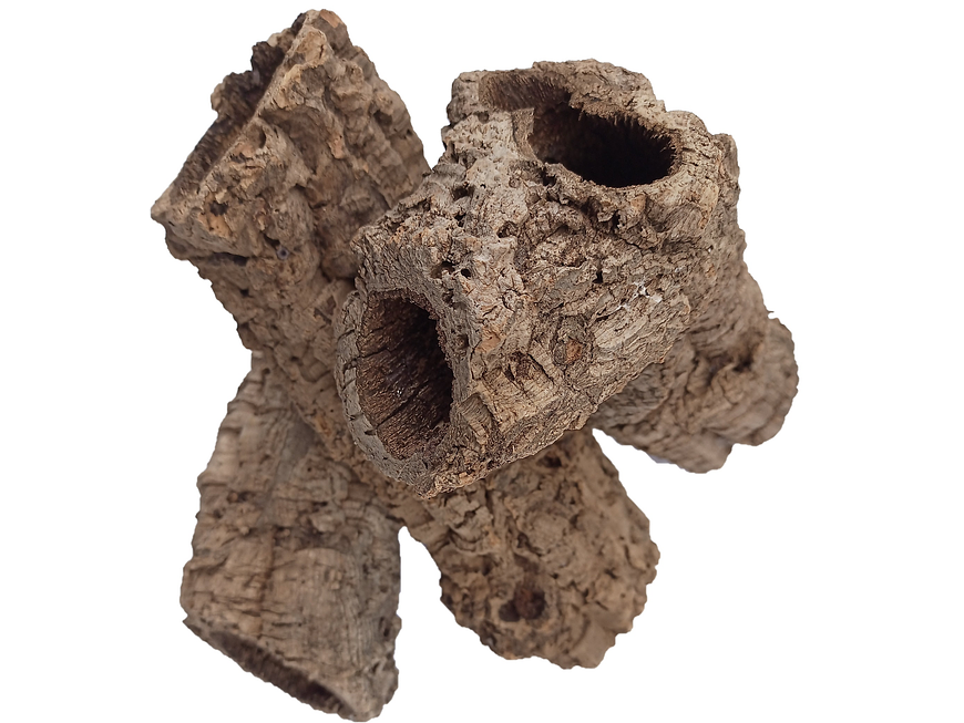 3x Cork Tubes - for vivarium, terrarium or decoration 4