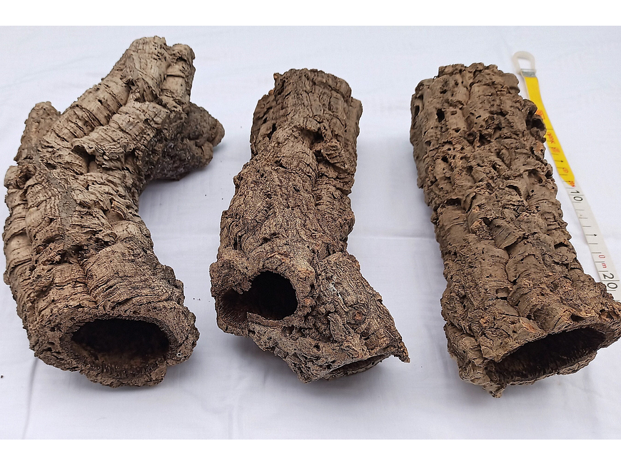 3x Cork Tubes - for vivarium, terrarium or decoration 5