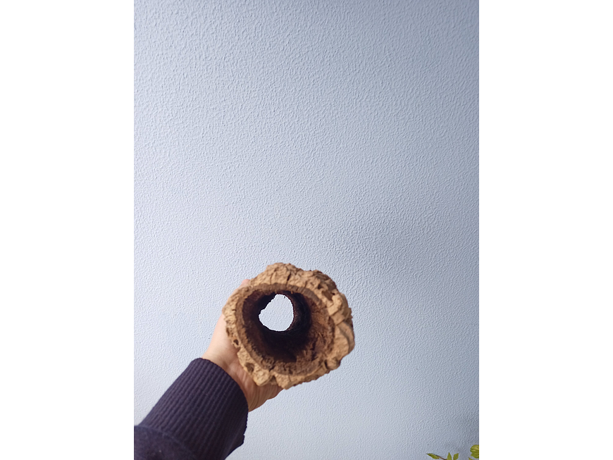 3x Cork Tubes - for vivarium, terrarium or decoration 6