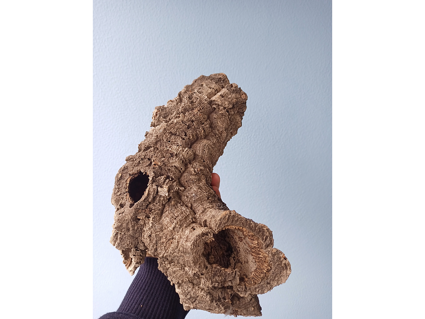 3x Cork Tubes - for vivarium, terrarium or decoration 2