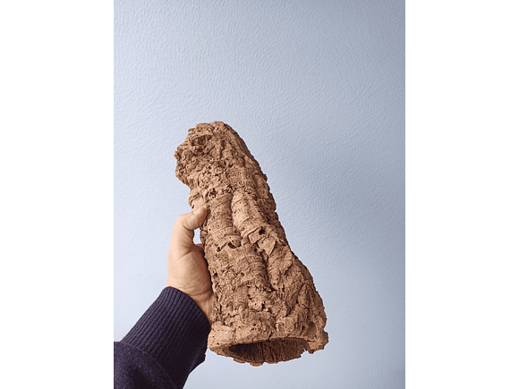 3x Cork Tubes - for vivarium, terrarium or decoration 7