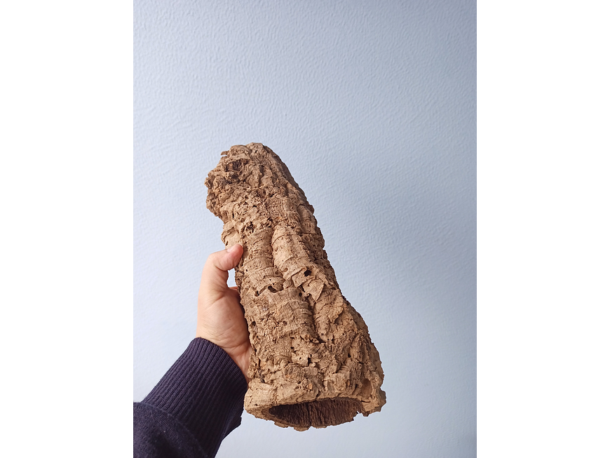 3x Cork Tubes - for vivarium, terrarium or decoration 7