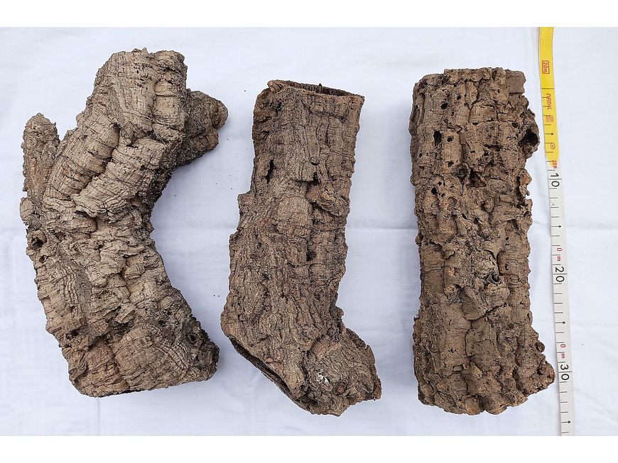 3x Cork Tubes - for vivarium, terrarium or decoration 8