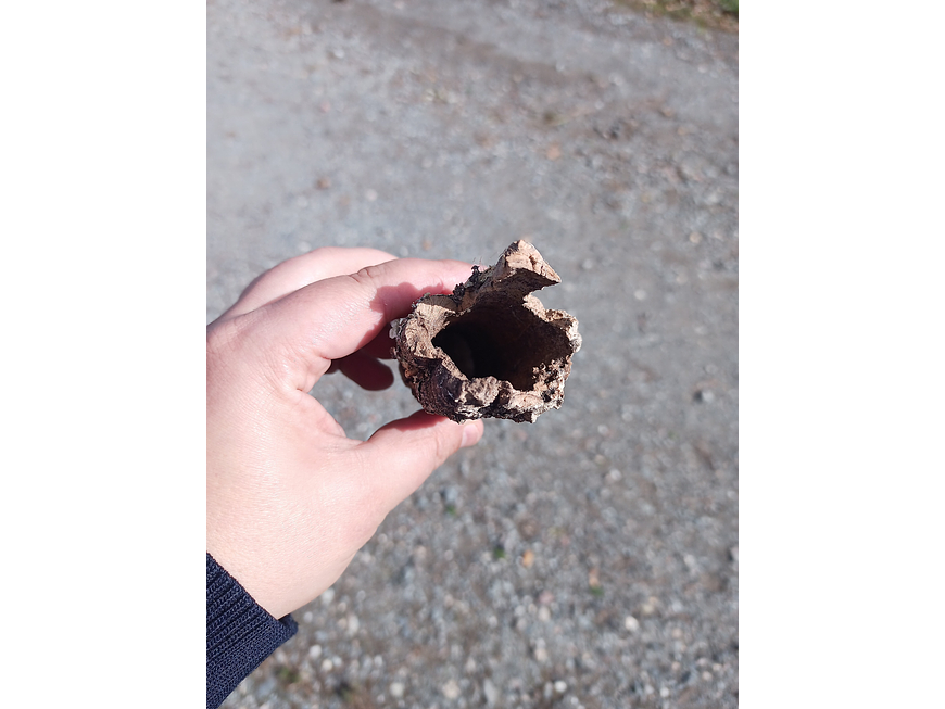 Small cork tubes weighing 0.4 kg 4