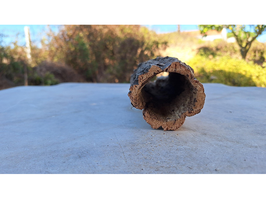1x Cork Tube: (7x7x25cm) 2
