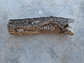 1x Cork Tube: (7x7x25cm) - thumbnail 6