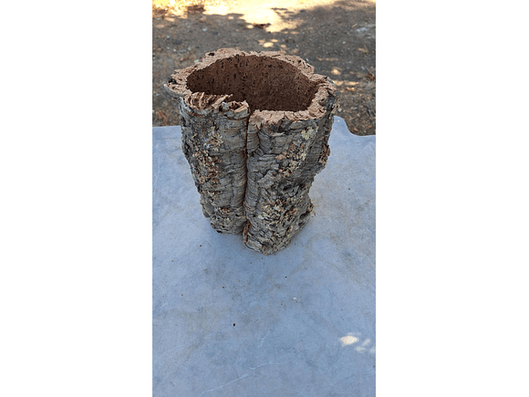 1x Small, wide cork tube (20x20x25cm) 3