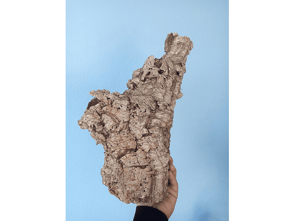 2x Cork Tubes (30x12x12cm) 2