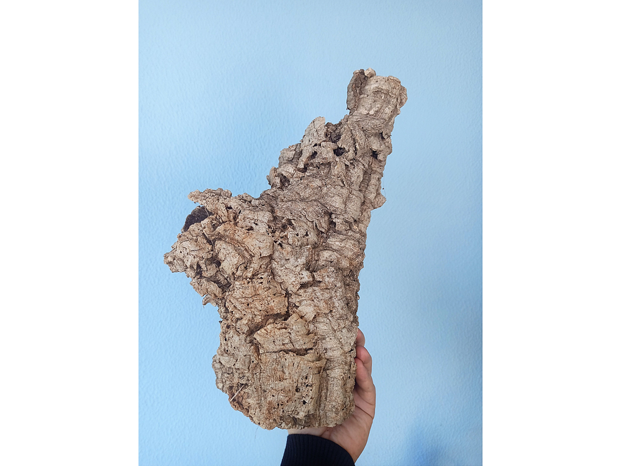 2x Cork Tubes (30x12x12cm) 2