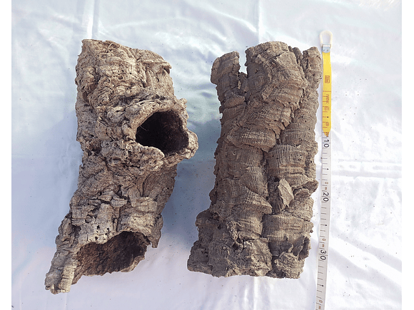 2x Cork Tubes (30x12x12cm) 1