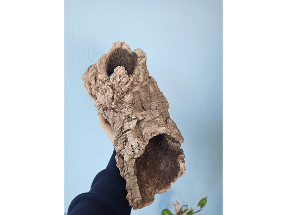 2x Cork Tubes (30x12x12cm) 5