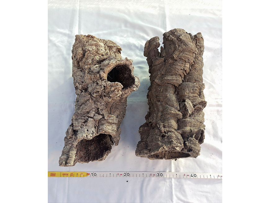 2x Cork Tubes (30x12x12cm) 6