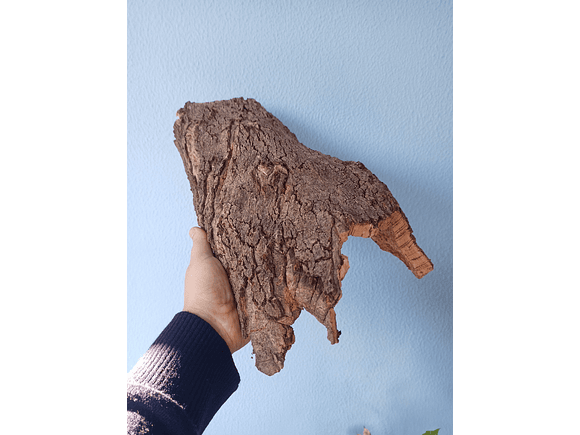 Natural Cork Tray (35x15x7cm) 3