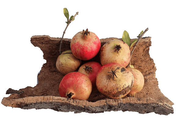 Natural Cork Tray (35x15x7cm) 4