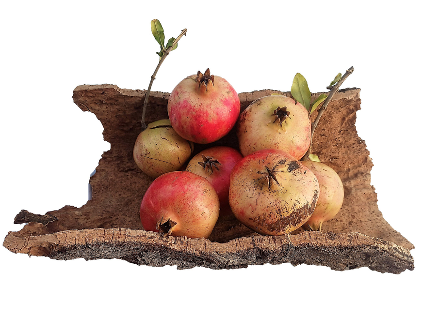 Natural Cork Tray (35x15x7cm) 4
