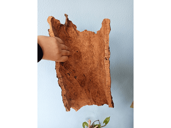 Natural Cork Tray (35x15x7cm) 5