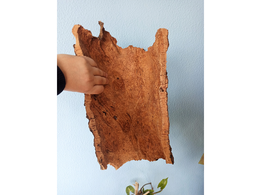 Natural Cork Tray (35x15x7cm) 5