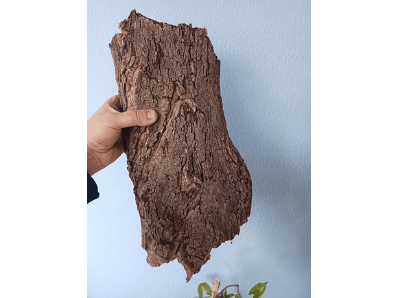 Natural Cork Tray (35x15x7cm) 6