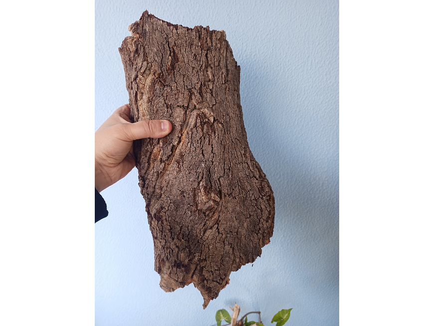 Natural Cork Tray (35x15x7cm) 6