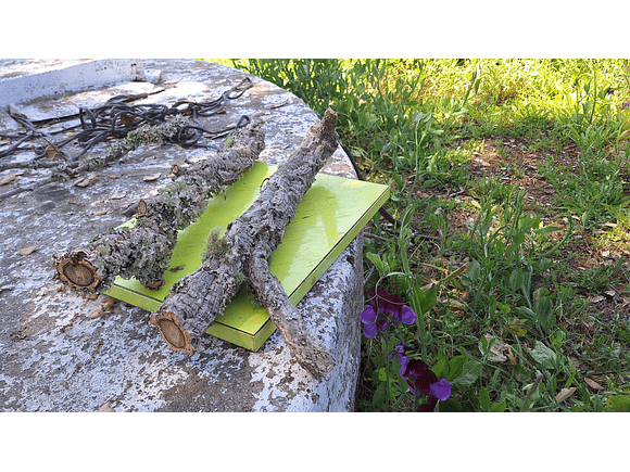 8 cork branches (at least 20 cm long) 3