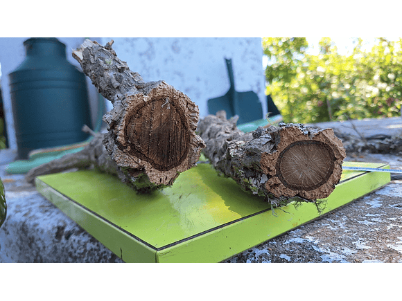 8 cork branches (at least 20 cm long) 5