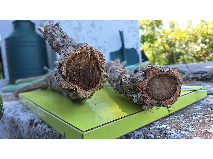 8 cork branches (at least 20 cm long) 5