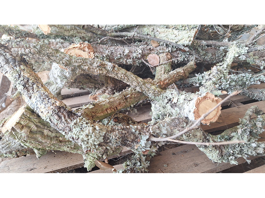 8 cork branches (at least 20 cm long) 8