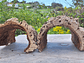 3 Cork Tunnels (20x10x7cm) - for Vivarium, Terrarium or Decoration - thumbnail 1