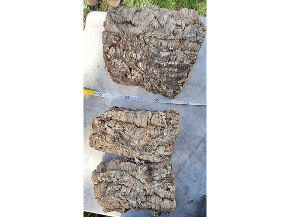 3 Cork Tunnels (20x10x7cm) - for Vivarium, Terrarium or Decoration 4