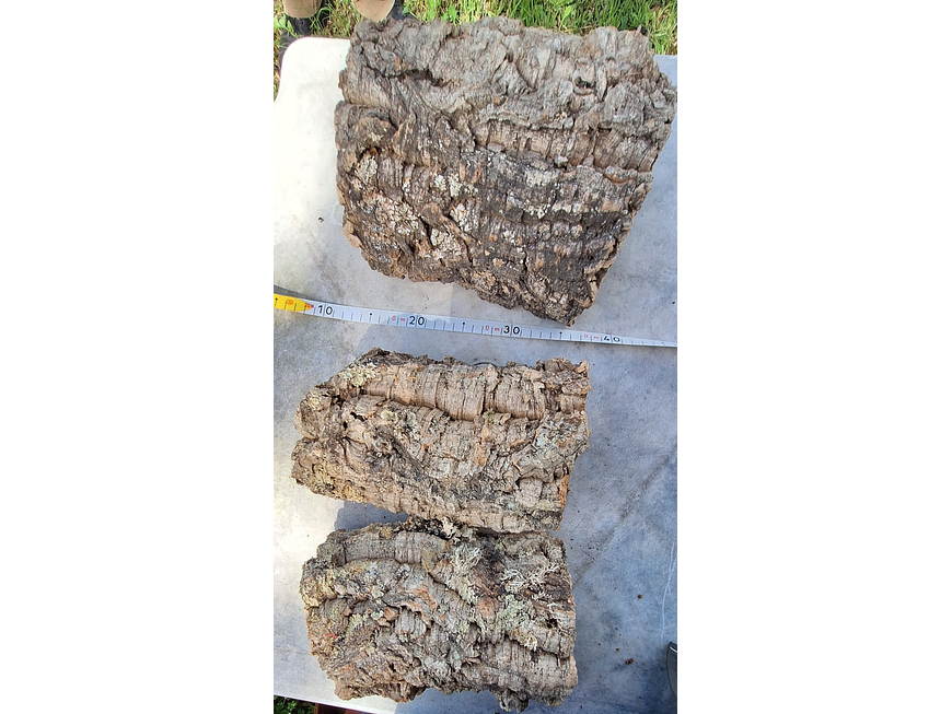 3 Cork Tunnels (20x10x7cm) - for Vivarium, Terrarium or Decoration 4