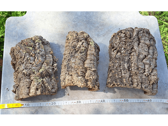 3 Cork Tunnels (20x10x7cm) - for Vivarium, Terrarium or Decoration 6
