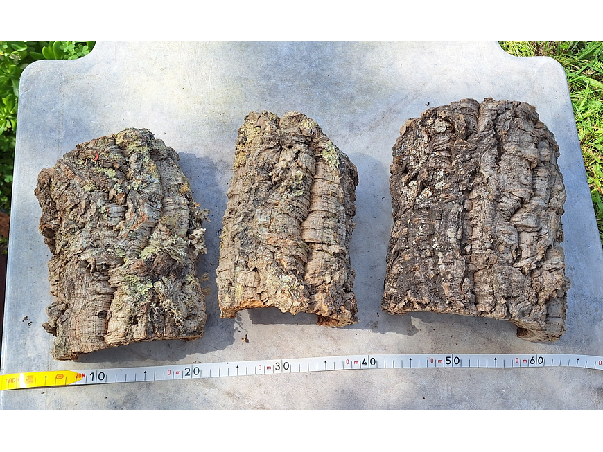 3 Cork Tunnels (20x10x7cm) - for Vivarium, Terrarium or Decoration 6