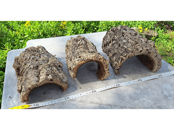 3 Cork Tunnels (20x10x7cm) - for Vivarium, Terrarium or Decoration 7