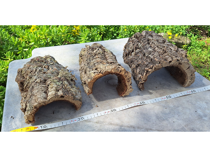 3 Cork Tunnels (20x10x7cm) - for Vivarium, Terrarium or Decoration 7