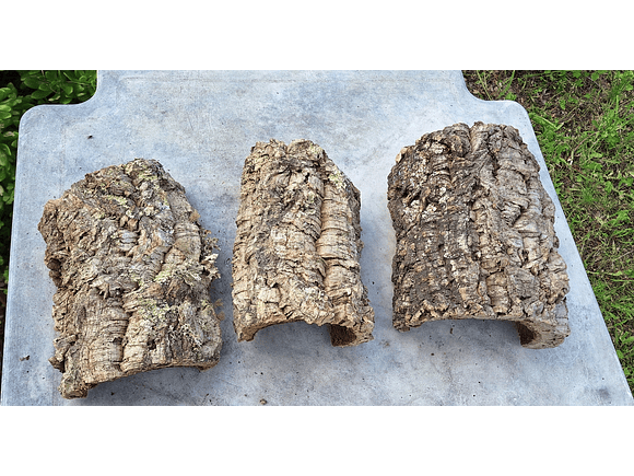 3 Cork Tunnels (20x10x7cm) - for Vivarium, Terrarium or Decoration 8