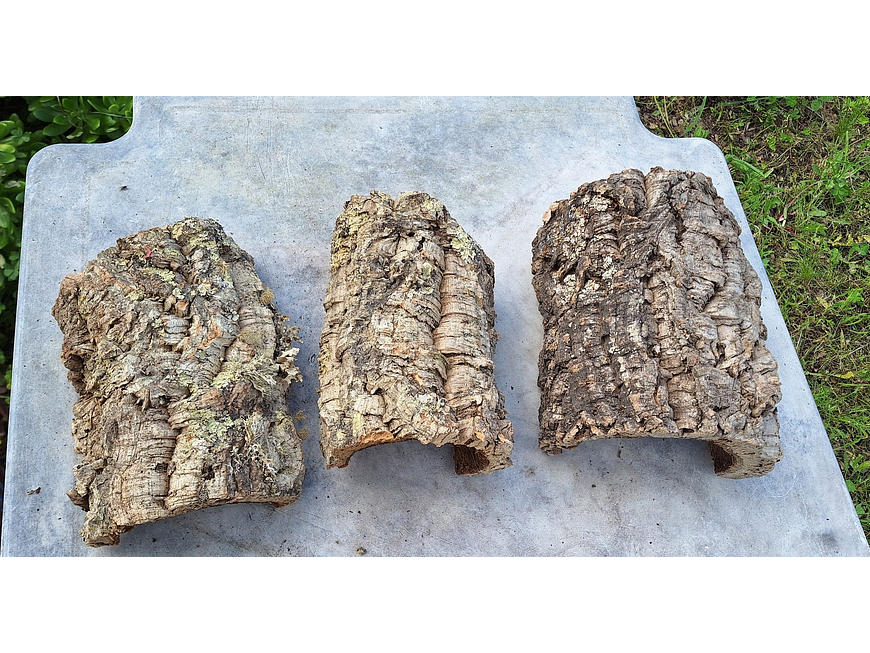 3 Cork Tunnels (20x10x7cm) - for Vivarium, Terrarium or Decoration 8