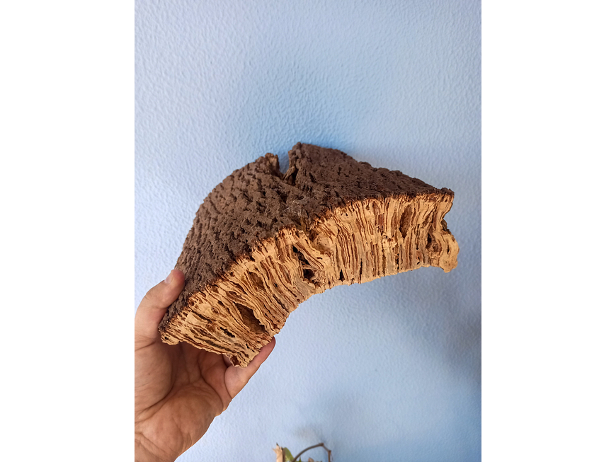 1x Thick cork from Portugal (30cm x 25cm x 11cm) 1