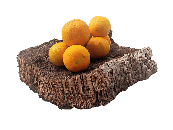 1x Thick cork from Portugal (30cm x 25cm x 11cm) 2