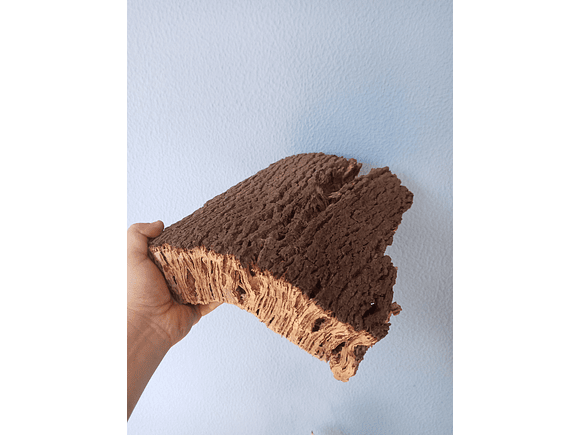 1x Thick cork from Portugal (30cm x 25cm x 11cm) 3